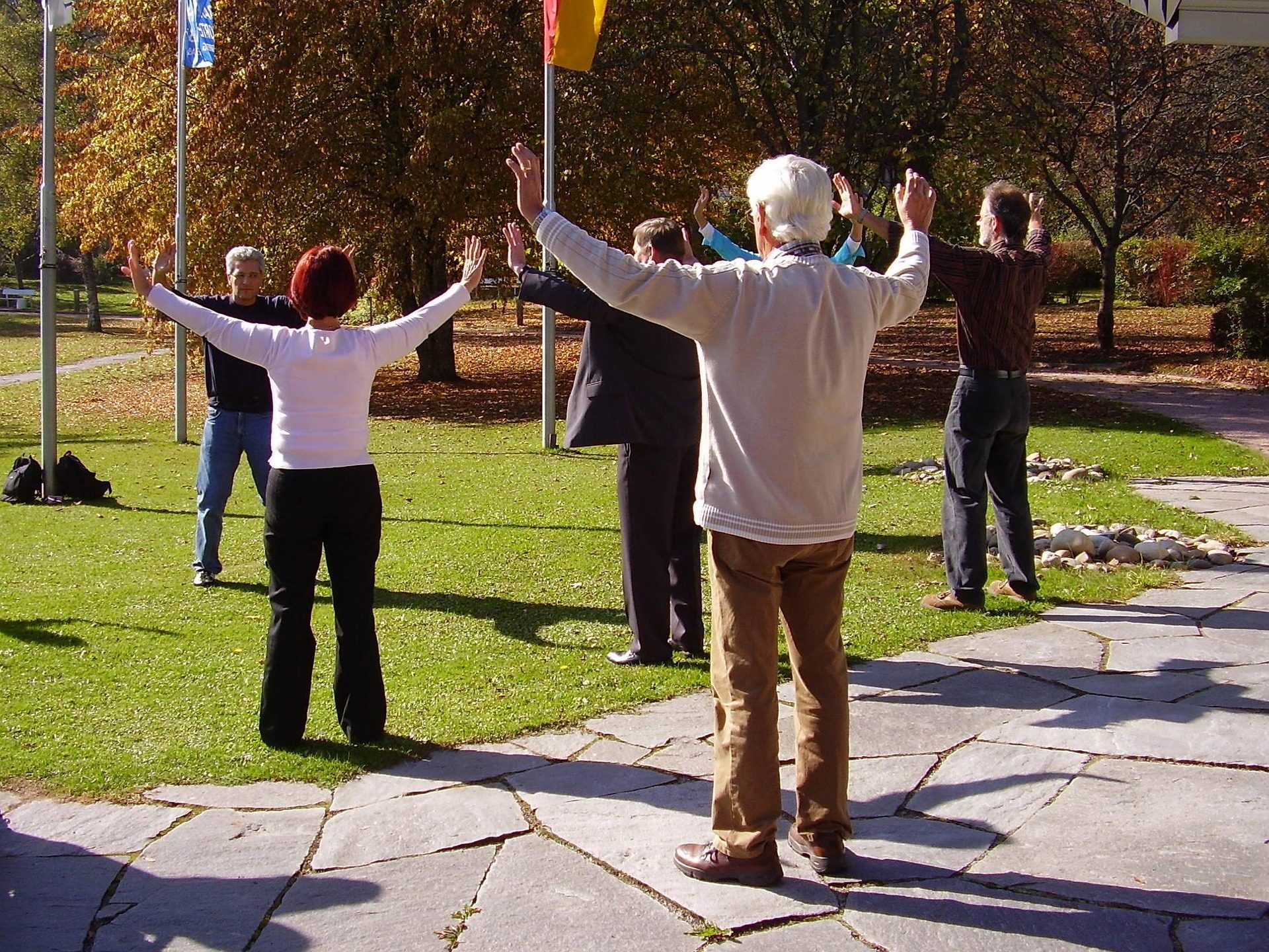 Qi gong de l'oie sauvage
