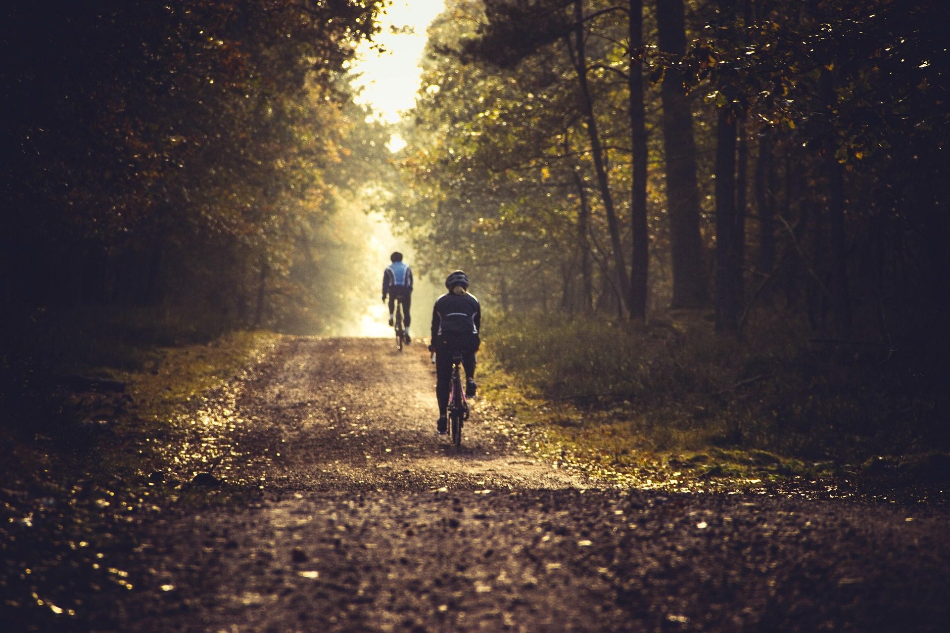 VTT